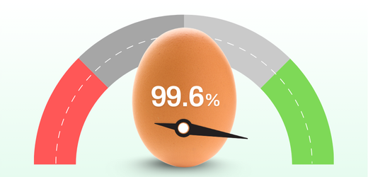 Egg-99.6%